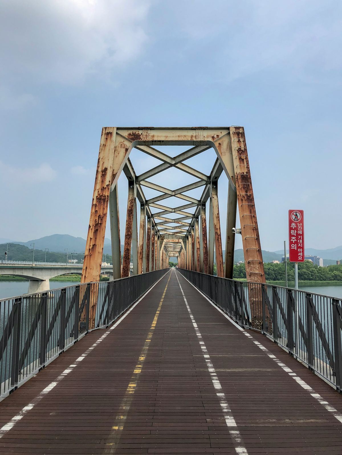 Falcon Creek pedestrian bridge steel structure